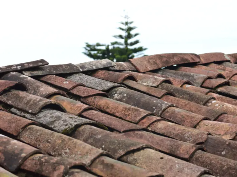 Rows of weathered clay barrel tiles on a sloped roof