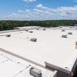 Flat roof service on a building